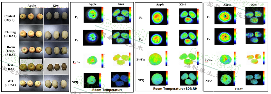 77779193永利官网(集团)有限公司