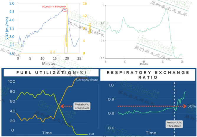 77779193永利官网(集团)有限公司
