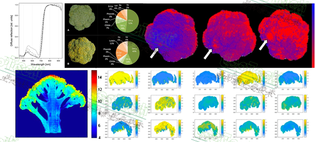 77779193永利官网(集团)有限公司