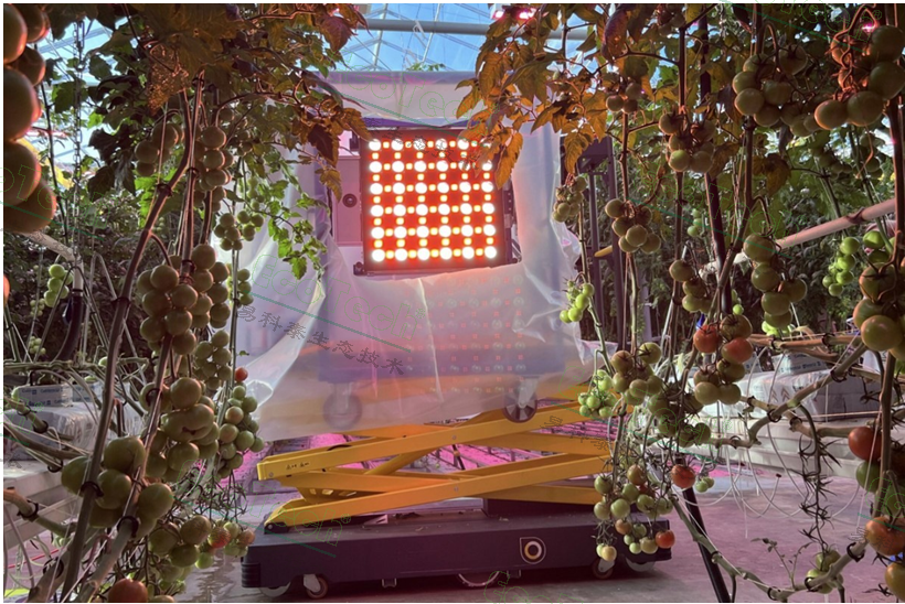 77779193永利官网(集团)有限公司