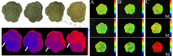 77779193永利官网(集团)有限公司
