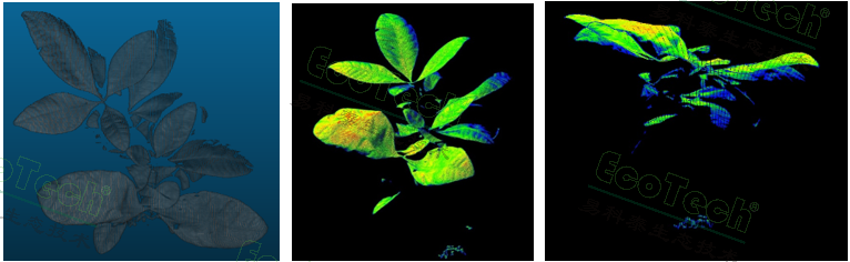 77779193永利官网(集团)有限公司