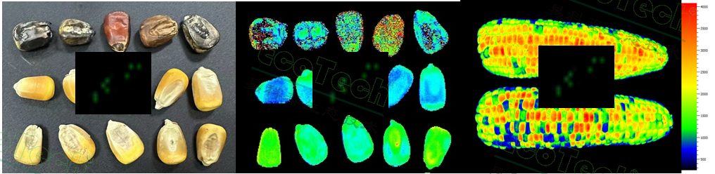 77779193永利官网(集团)有限公司
