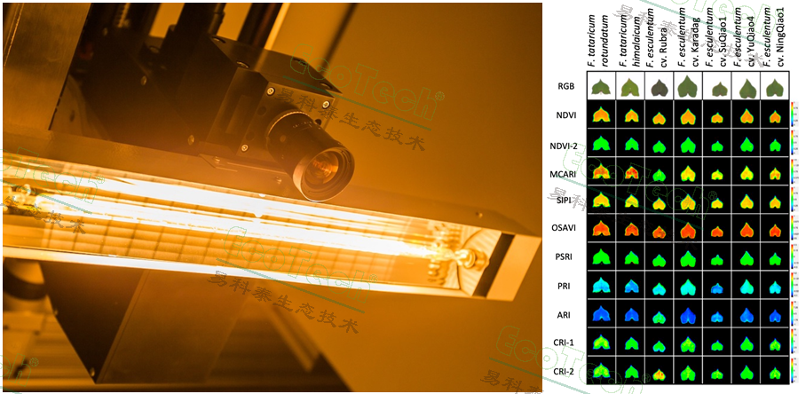77779193永利官网(集团)有限公司