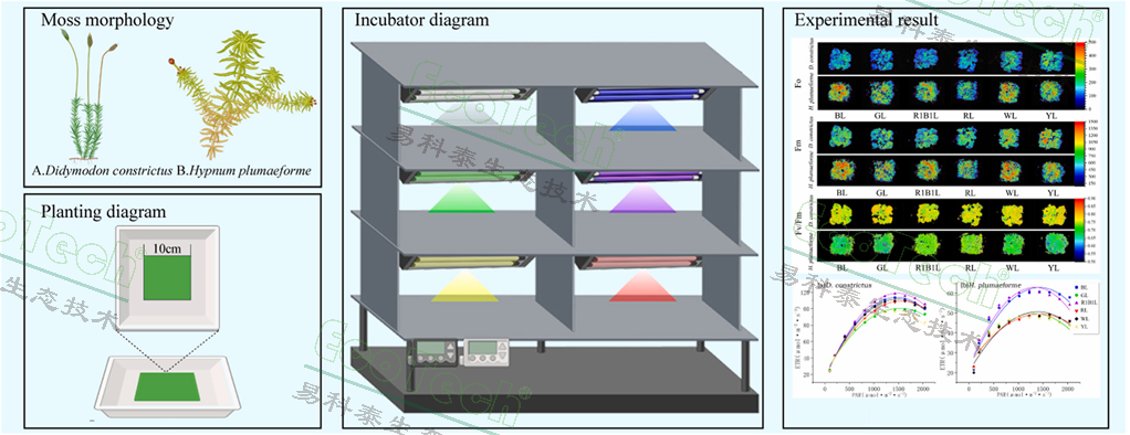 77779193永利官网(集团)有限公司