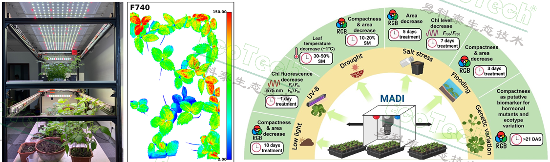 77779193永利官网(集团)有限公司