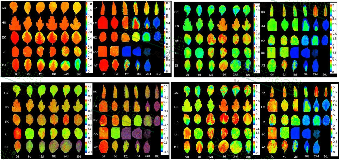 77779193永利官网(集团)有限公司