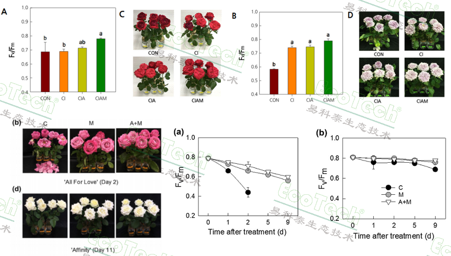 77779193永利官网(集团)有限公司