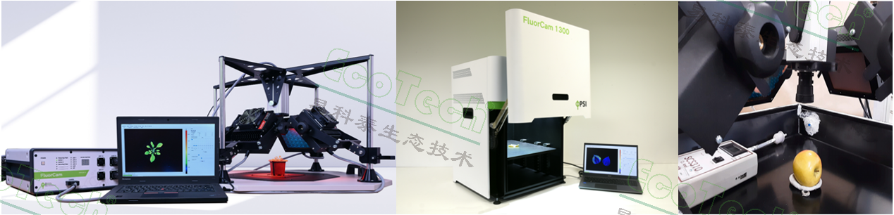 77779193永利官网(集团)有限公司