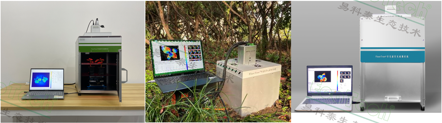 77779193永利官网(集团)有限公司