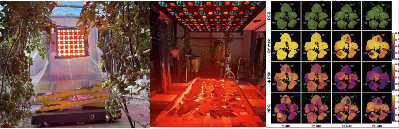 77779193永利官网(集团)有限公司