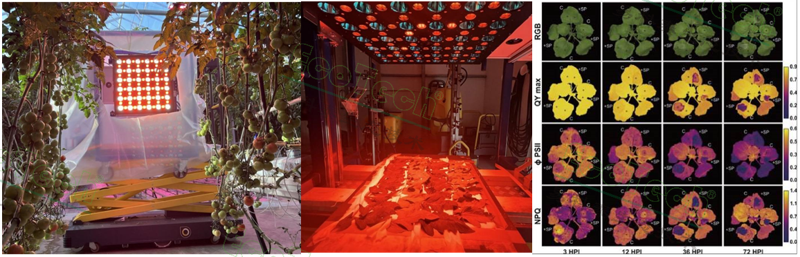 77779193永利官网(集团)有限公司