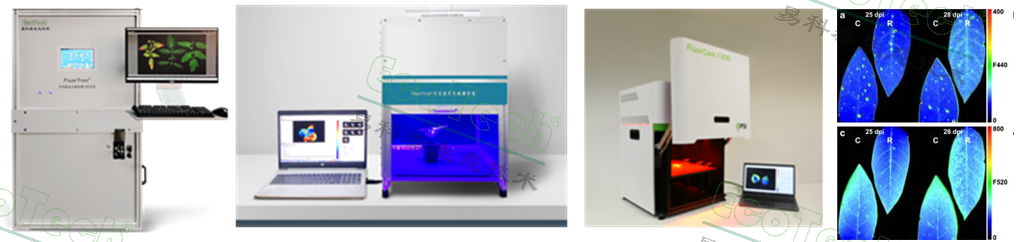 77779193永利官网(集团)有限公司