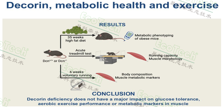 77779193永利官网(集团)有限公司