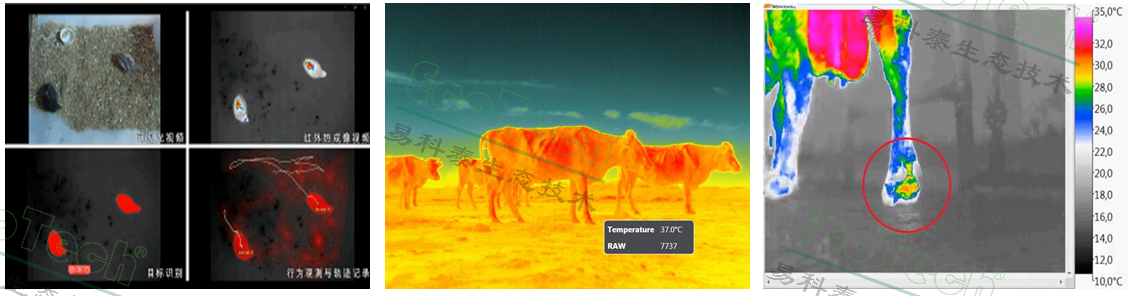 77779193永利官网(集团)有限公司