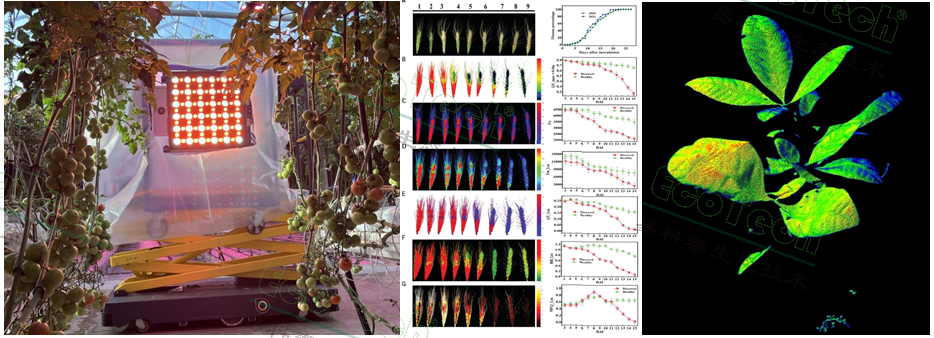 77779193永利官网(集团)有限公司