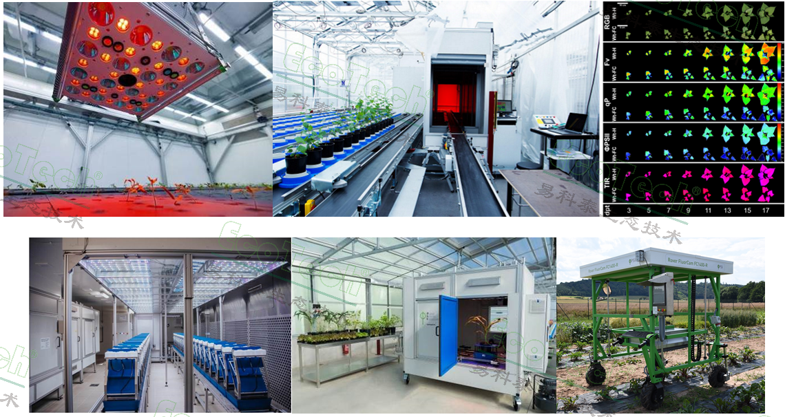 77779193永利官网(集团)有限公司