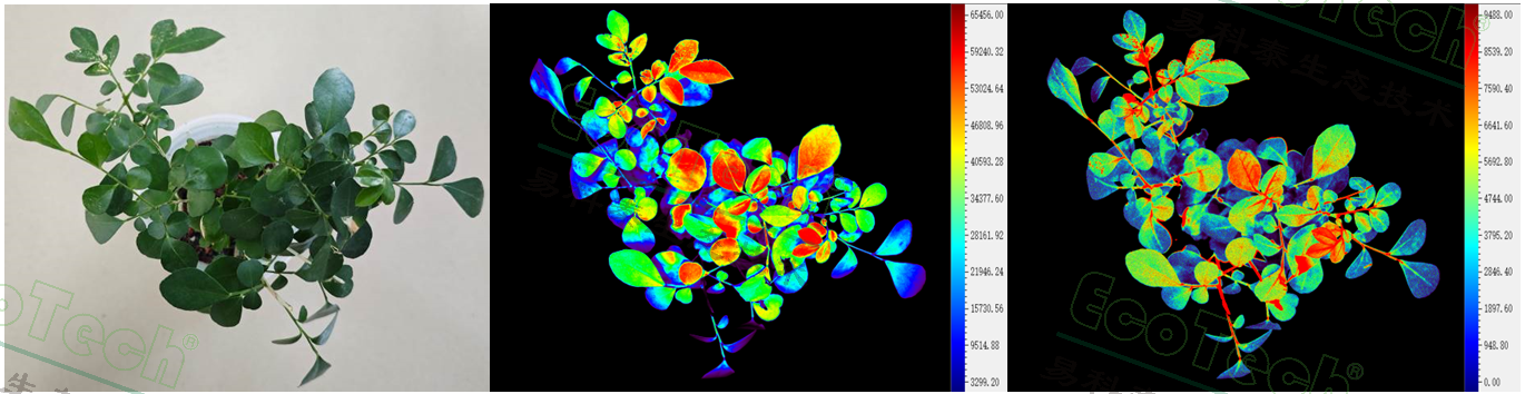 77779193永利官网(集团)有限公司