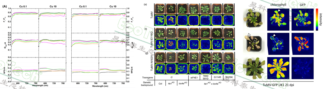 77779193永利官网(集团)有限公司