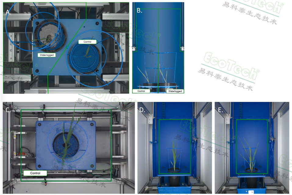 77779193永利官网(集团)有限公司