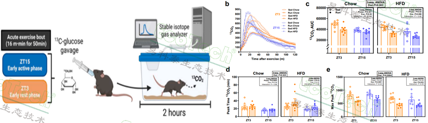 77779193永利官网(集团)有限公司