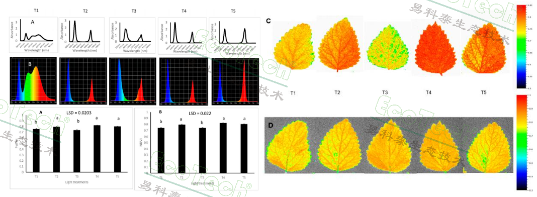 77779193永利官网(集团)有限公司