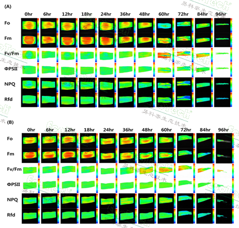 77779193永利官网(集团)有限公司