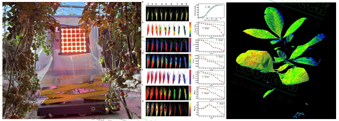 77779193永利官网(集团)有限公司
