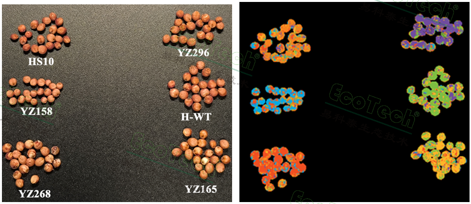 77779193永利官网(集团)有限公司
