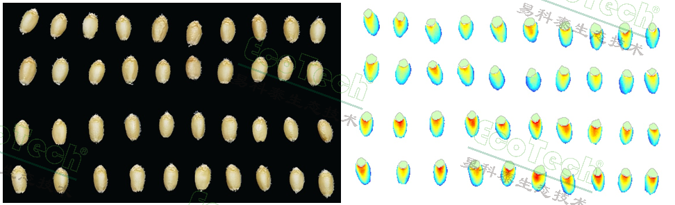 77779193永利官网(集团)有限公司