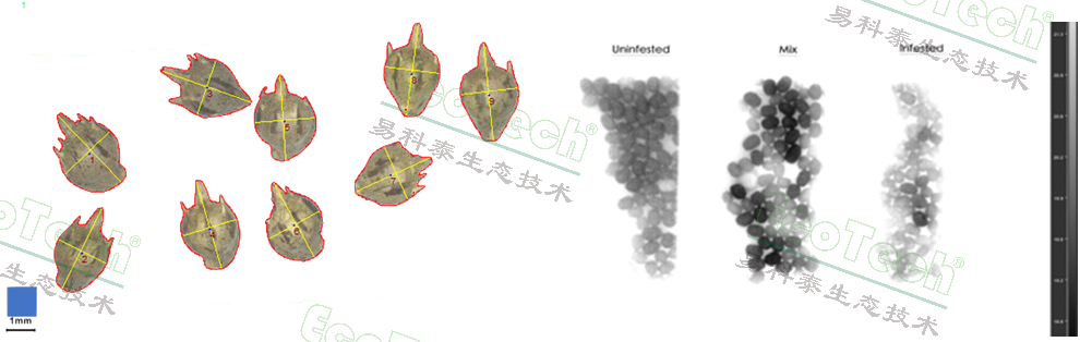 77779193永利官网(集团)有限公司