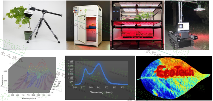 77779193永利官网(集团)有限公司
