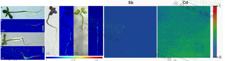 77779193永利官网(集团)有限公司