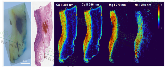 77779193永利官网(集团)有限公司