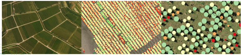 77779193永利官网(集团)有限公司