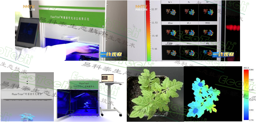 77779193永利官网(集团)有限公司