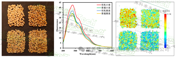 77779193永利官网(集团)有限公司