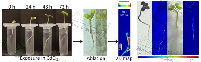 77779193永利官网(集团)有限公司