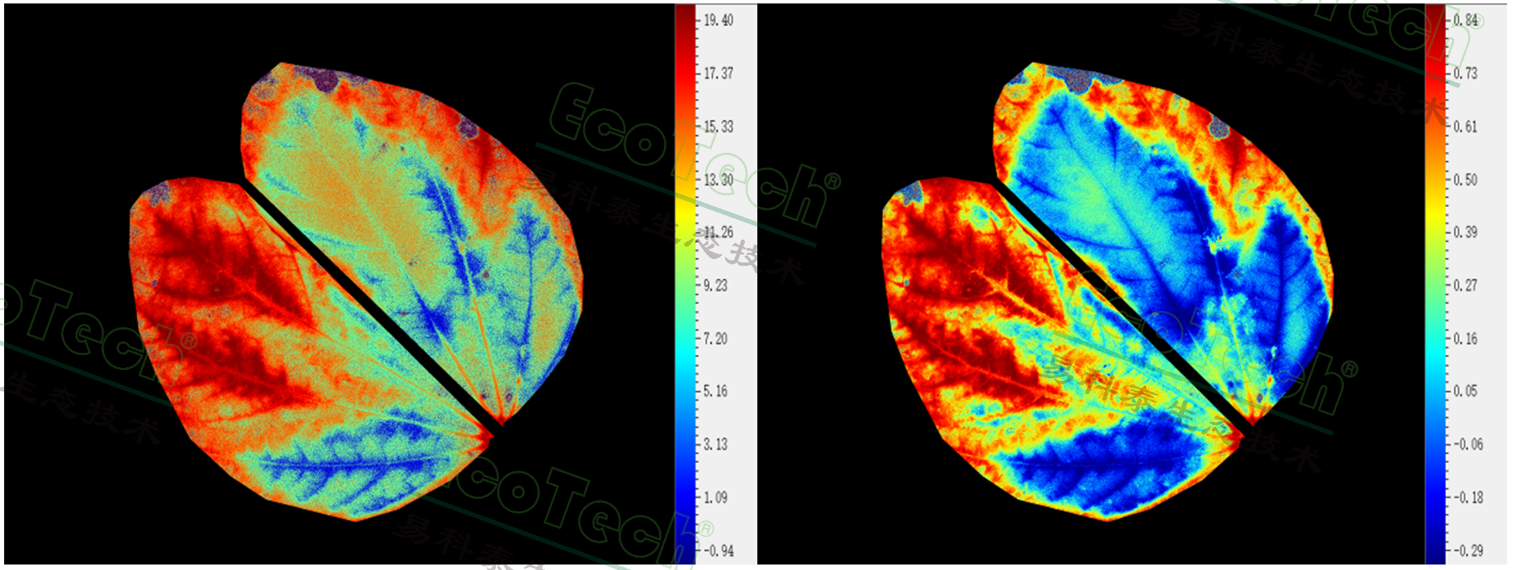 77779193永利官网(集团)有限公司