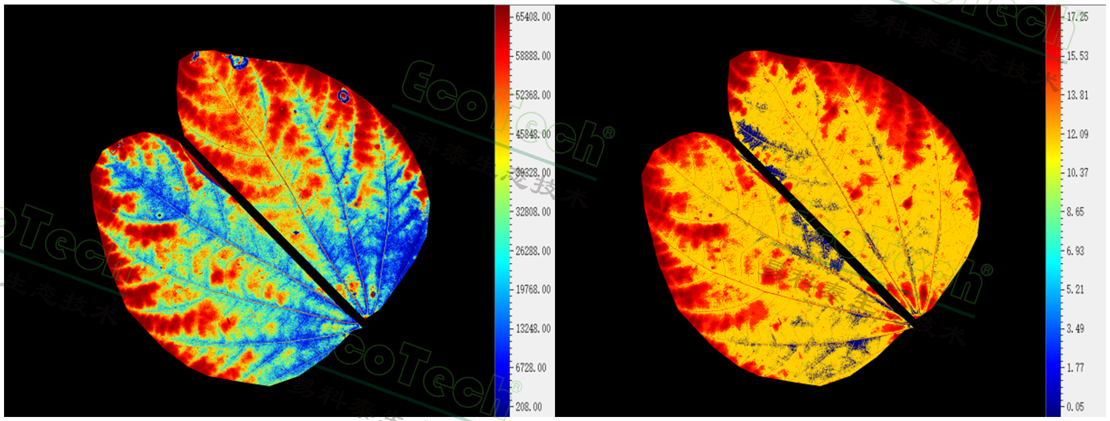 77779193永利官网(集团)有限公司