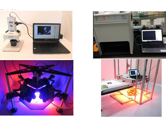 ？？槭皆謇啾硇统上衿饰鱿低