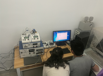 SSI果蝇呼吸代谢与运动视察系统