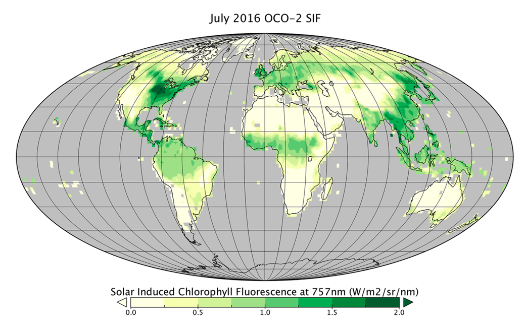 77779193永利官网(集团)有限公司