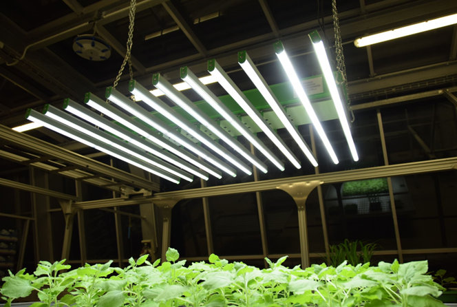 杆式智能LED光源