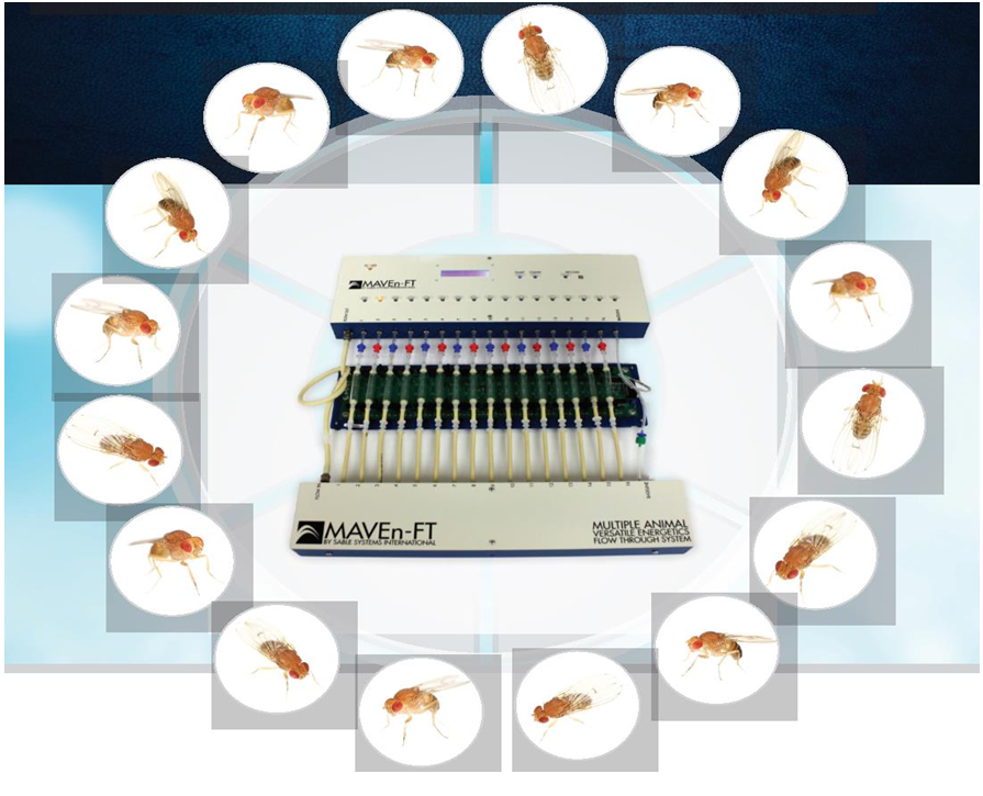 高通量高区分率前言生物呼吸表型监测系统