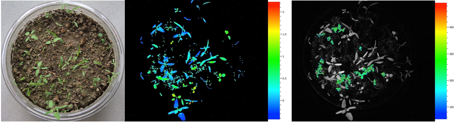 77779193永利官网(集团)有限公司