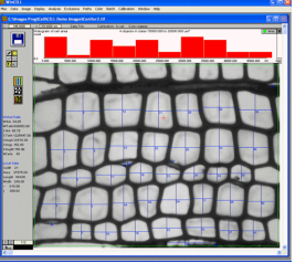 WinCELL木料细胞剖析软件